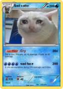 Sad catto