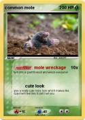 common mole