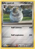 fluffy squirrell fluffy