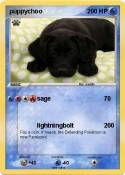 puppychoo