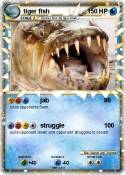 tiger fish