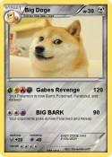Big Doge