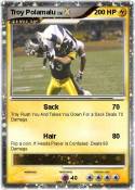 Troy Polamalu