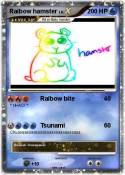 Raibow hamster