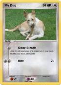 My Dog