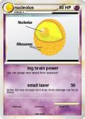 nucleolus