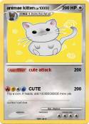 animae kitten