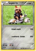 dogster EX