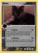 Bruno
