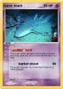 nurse shark