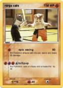 ninja cats
