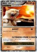 AK47 CAT
