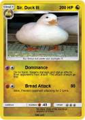 Sir. Duck III
