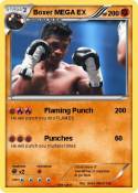 Boxer MEGA EX Boxer MEGA EX
