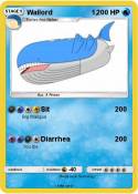 Wailord 1,