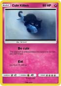 Cute Kitten Cute Kitten