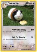 Guinea Pig