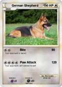 German Shepherd