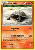 mine turtle