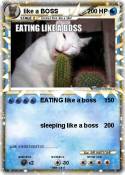 like a BOSS