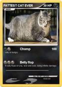 FATTEST CAT