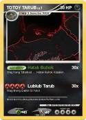 TOTOY TARUB