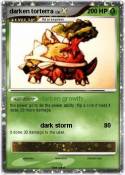darken torterra