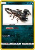 Emperor Scorpion Emperor
