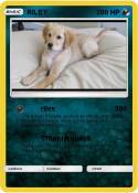 RILEY