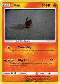 Litten