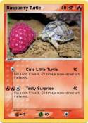 Raspberry Turtle Raspberry