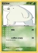 ice bear