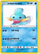 joshys mudkip