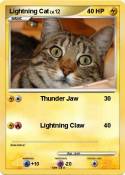 Lightning Cat
