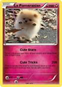 La Pomeranian