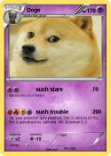 Doge
