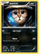 Spacecat