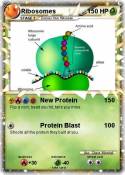 Ribosomes