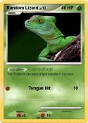 Random Lizard
