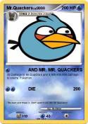 Mr.Quackers