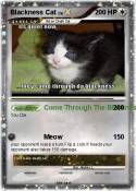 Blackness Cat