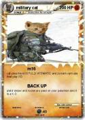 military cat