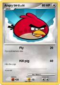 Angry bird
