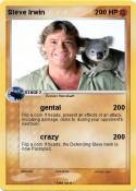 Steve Irwin