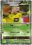 Haaland