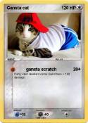 Gansta cat