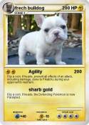 frech bulldog