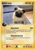 Spider pug