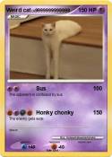 Weird cat
