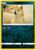 Doge